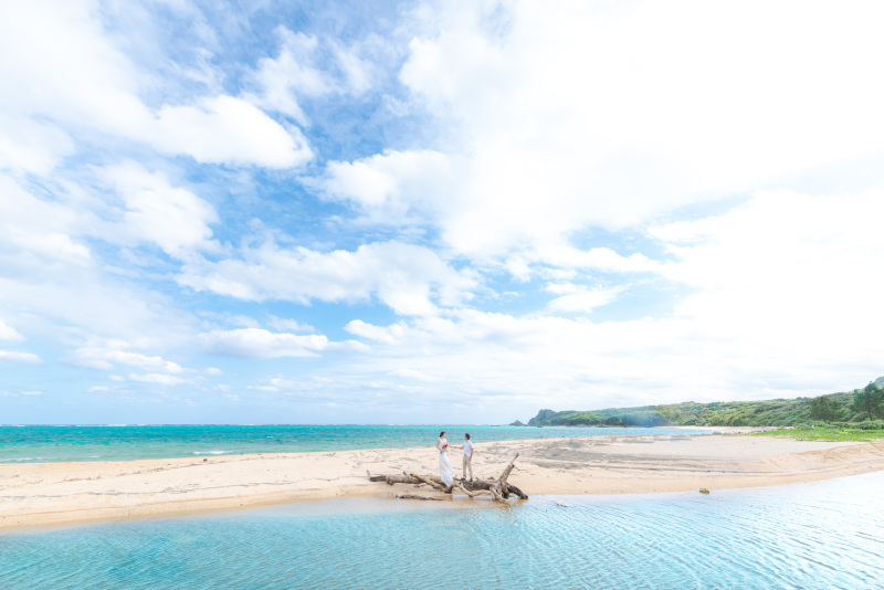 たまたま流れ着いていた流木。あるものは何でも使う
