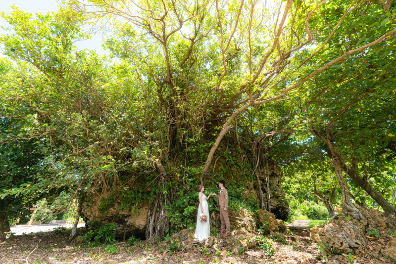サンゴの化石が見れる太古の津波で流されきた大石。