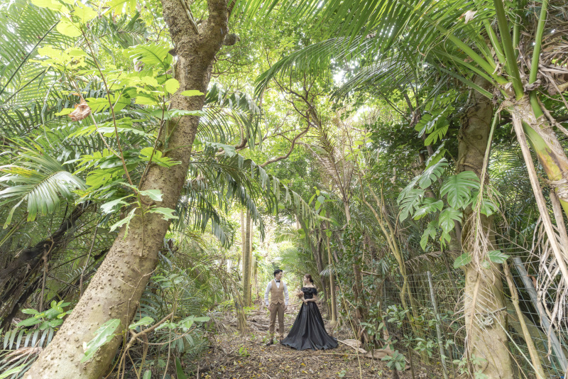 衣装チェンジしてジャングルの中へ。