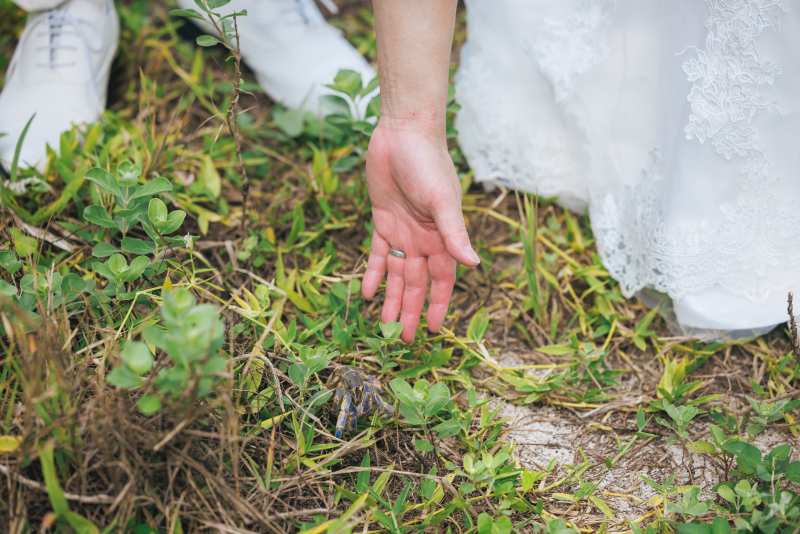 撮影前に見つけた大きなヤドカリ