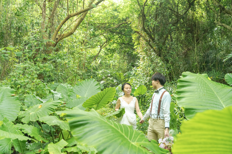 大きな大きな葉っぱクワズイモノの森を抜けて・・・