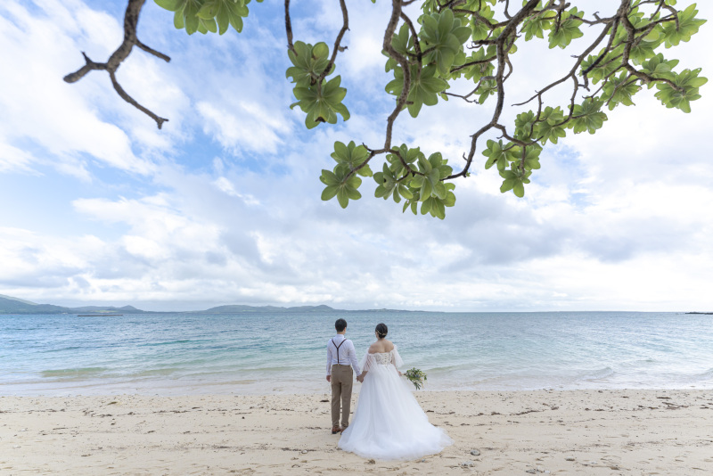 ドーンと迫力のある写真も。