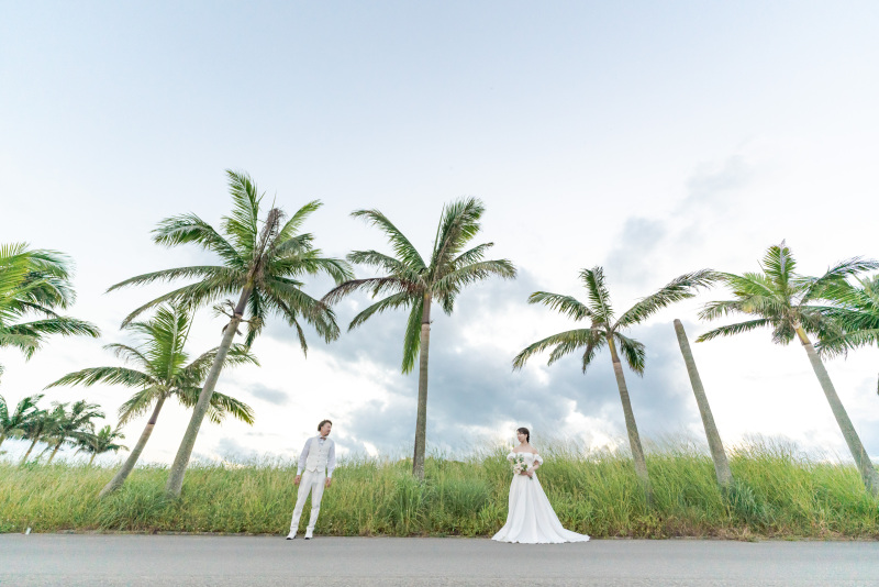 ヤシの木並木道で。サンセット撮影に行く前に寄り道