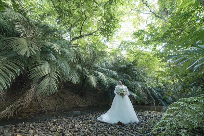 南国植物モリモリ!大自然感じるジャングルスポット
