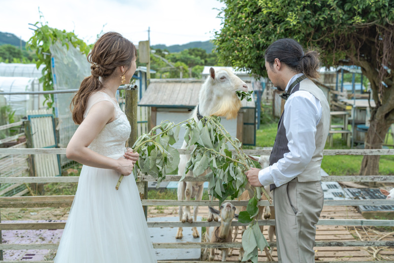 ヤギに餌やりもできちゃいます！！