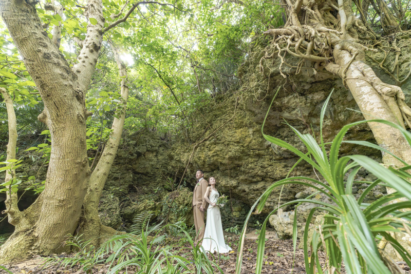 南国植物モリモリ！大自然感じるジャングルスポット