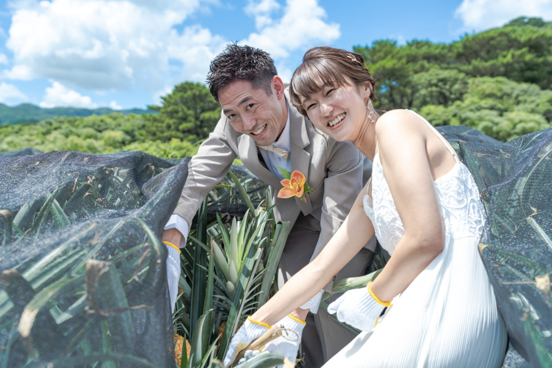 初めての共同作業は石垣島でパイナップル収穫!
