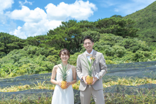 石垣島体感フォトウェエディング！初めての共同作業はパイナップル収穫！