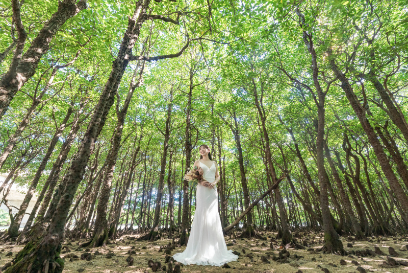 マングローブの林の中で。木漏れ日を浴びる。