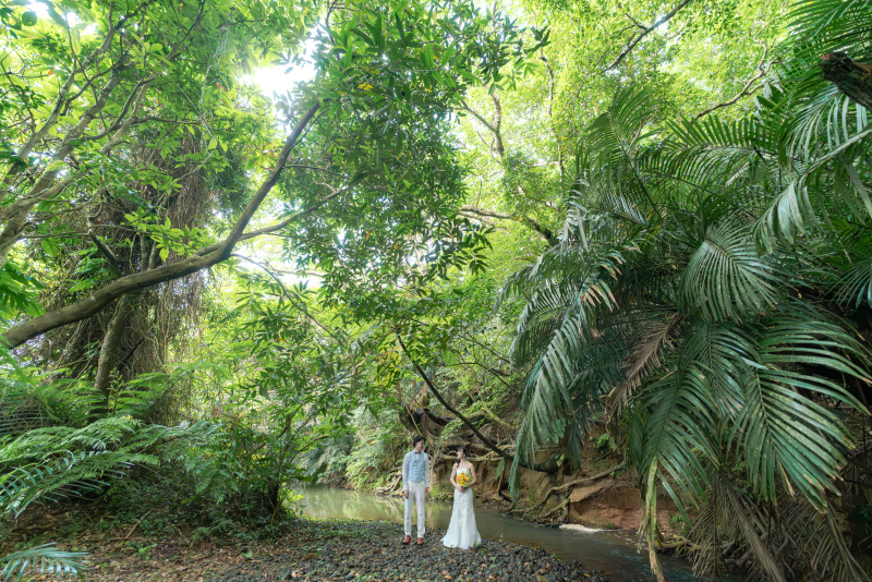 今度はモリモリのどジャングルへ。