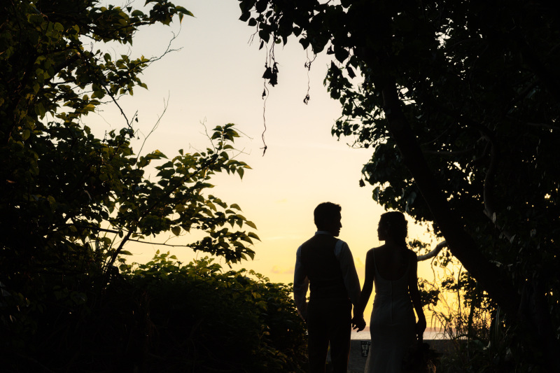 森から見る空。シルエット。