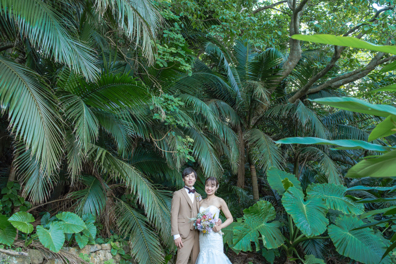 海だけじゃないのが石垣島。大きな葉っぱの南国植物