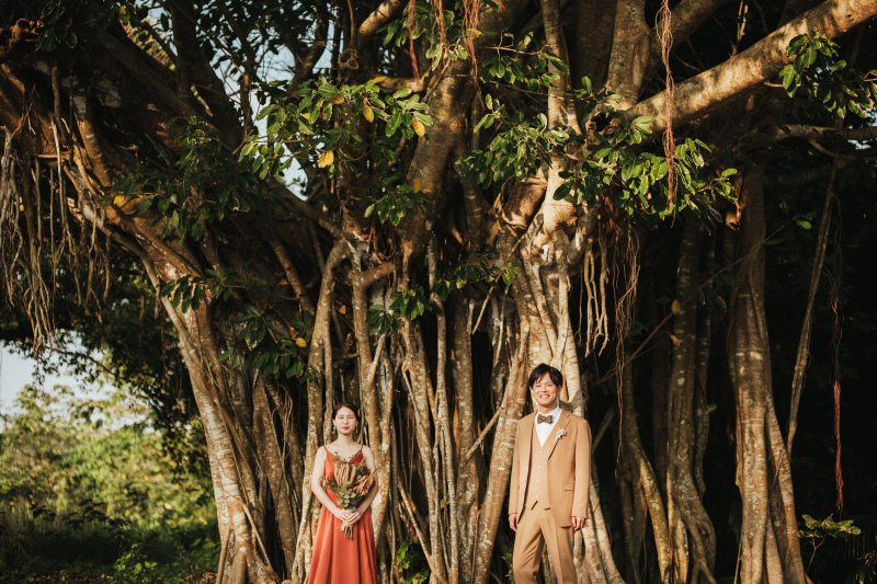 大きく神聖な沖縄の木。『ガジュマルの木』