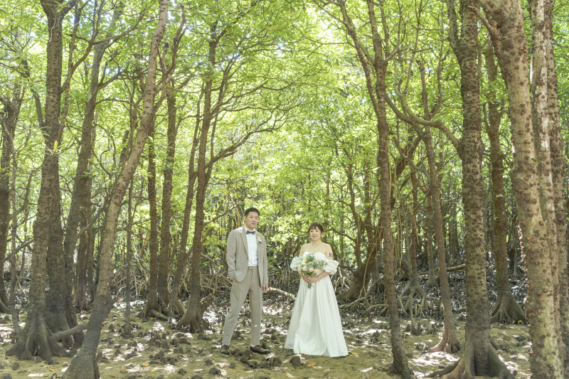 まずは、南国植物「マングローブ林」へ