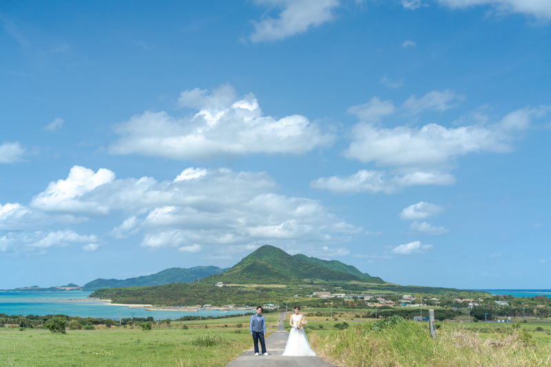 広い広い牧草地。その間をずっと抜ける1本道。