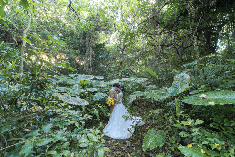 クワズイモの森の中。まるで小人な気分。