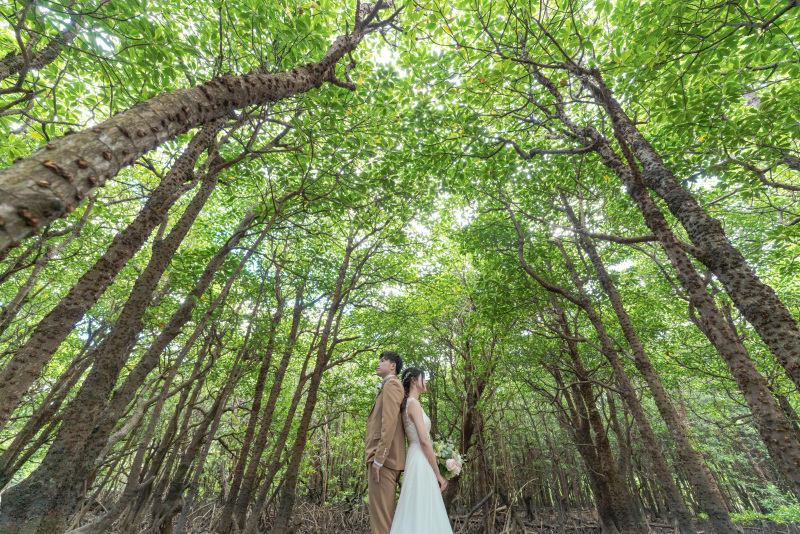 マングローブの空を見上げて。