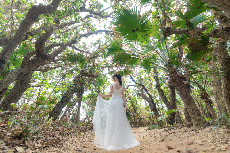 雑多な森も。力強い植物の一面も。