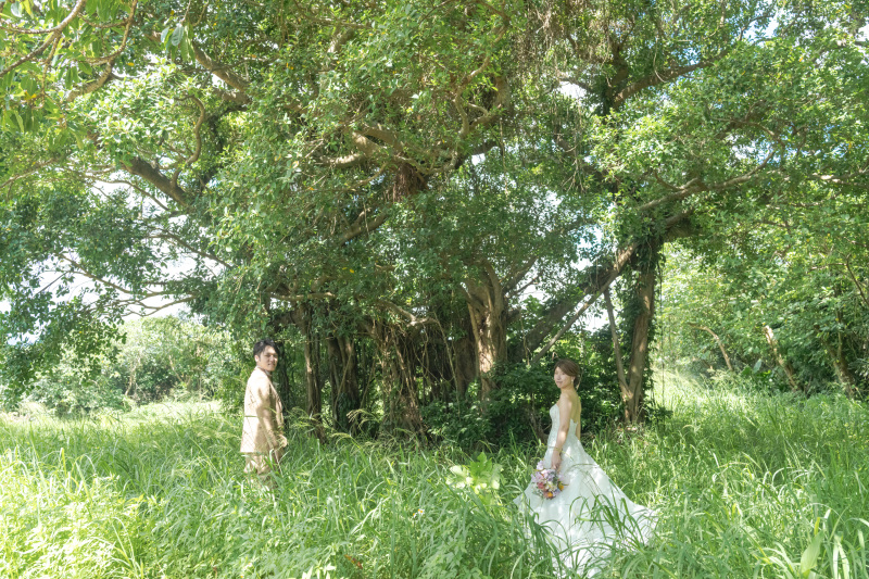 石垣島の大自然の南国植物を大満喫。ネイチャーツアー。