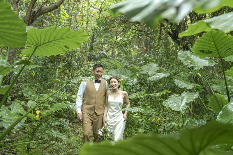 クワズイモの森の中をお散歩。まるで小人な気分。