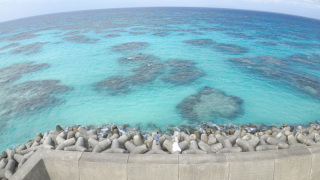 日本最南端「波照間島」泊まりがけでフォトツアーに行くのです！