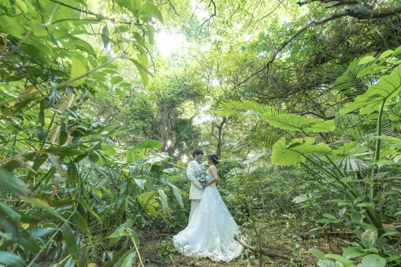 南国植物の生い茂るクワズイモの森にて。