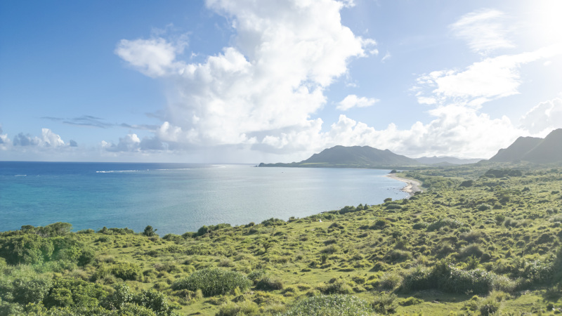 海だけでない、石垣島の雄大な大自然をより感じられる
