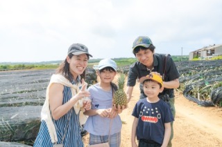 パイナップル収穫体験(4月頃〜7月頃)私服で参加【石垣島の特産品パイナップルを実際に収穫して、丸かじりで味わってみましょう】春から夏の季節限定のアクティビティです。(1時間程度)