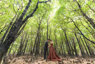 密林マングローブ林【海水でも生きられる南国植物マングローブ林】南国感をたっぷり味わえるスポットです。