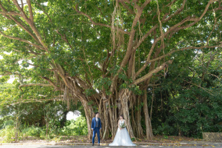 ガジュマルと大石撮影の追加【精霊が住むガジュマルの木と大きな岩での撮影】石垣島の自然を感じる、南国植物や大岩での撮影。