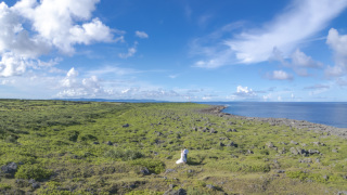 BlueSoda石垣島/宮古島クラフトフォトウェディング_波照間島