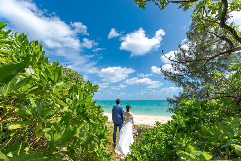 50箇所以上のビーチから今日ベストなビーチへ