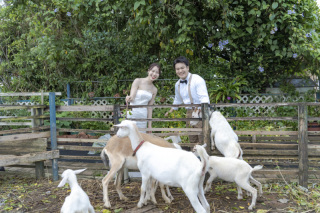 BlueSoda石垣島/宮古島クラフトフォトウェディング_＊NewPost＊