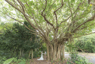 BlueSoda石垣島/宮古島クラフトフォトウェディング_＊NewPost＊