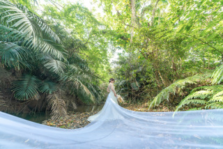 ジャングルの川で撮影できるのは実は石垣島だけ。地元の人も行かない、手付かずの迫力ある南国植物で撮影できる場所も何十ヶ所もあります。人よりも大きな葉っぱは南国感が漂います。