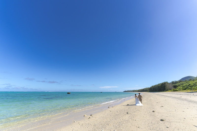 P割＊パイナップル収穫あり【撮影カット数もロケ地数も無制限】NoLimitツアートール＊4時間＊コミコミ料金＊ムービー付＊