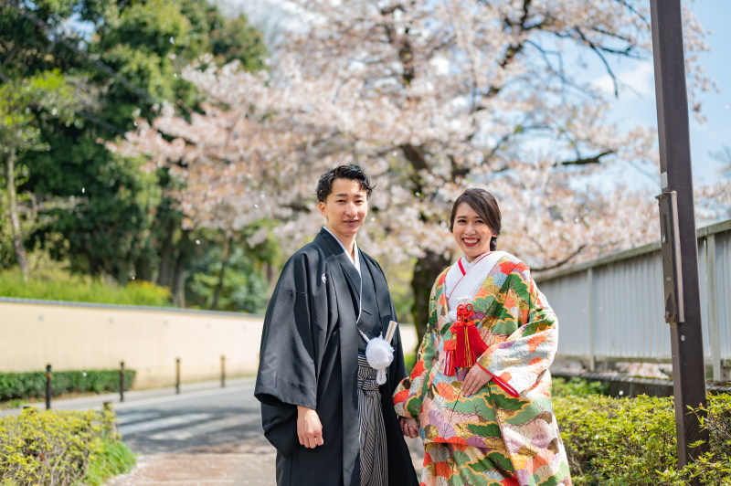桜満開、春爛漫の華やかな和装フォト