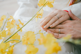 PHOTO WHITE（フォトホワイト）_WASOU