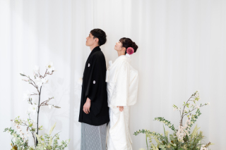 PHOTO WHITE（フォトホワイト）_WASOU