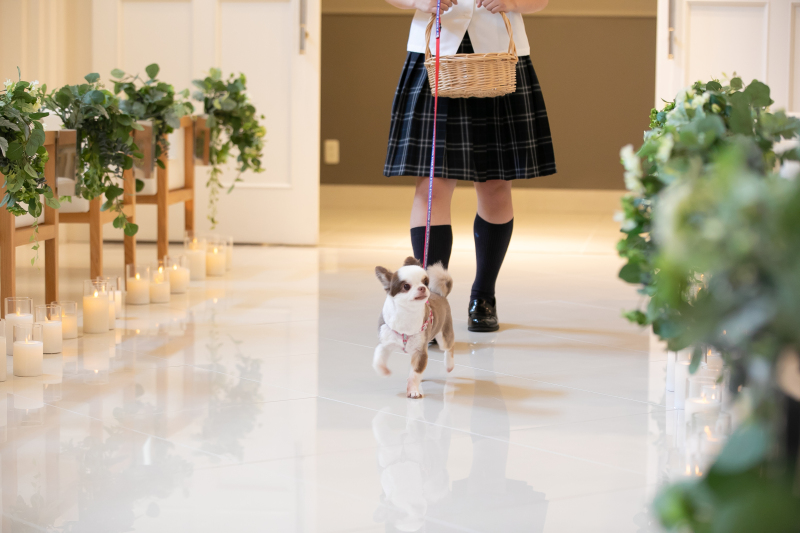 家族の同行もOK!