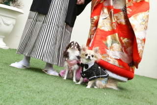 クラブドゥクレール迎賓館