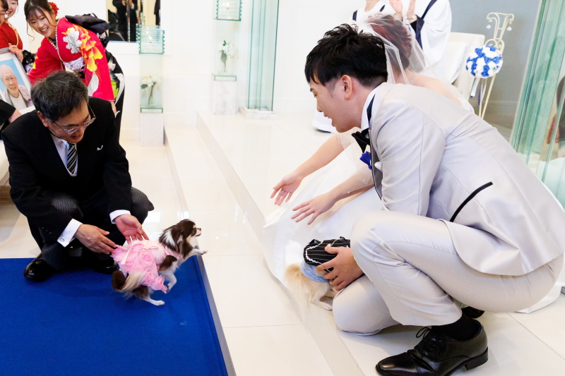 【2026年5月まで撮影】ペットと一緒に*洋装スタジオ撮影プラン◆ヘアメイク・衣装・全データ付き!