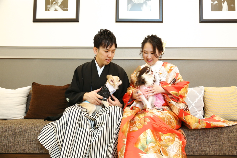 【2026年5月まで撮影】ペットと一緒に*洋装スタジオ撮影プラン◆ヘアメイク・衣装・全データ付き!