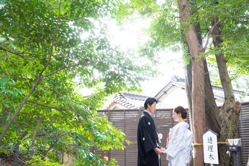 【神社内人気のパワースポット】★男女・夫婦の契りの深い連理木で撮影*会場から10分♪和装ロケーション撮影★