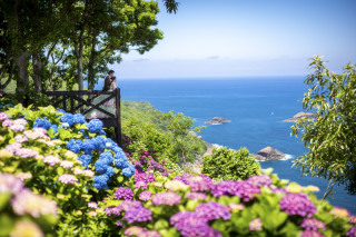 オリーブの樹　延岡店