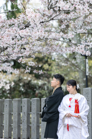桜満開と澄んだ琵琶湖でロケのかわいいお二人。