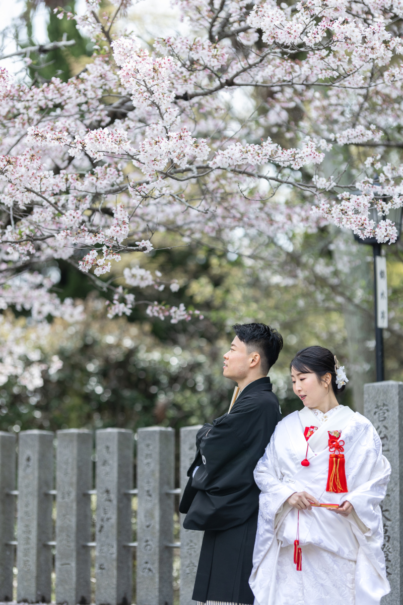 桜満開と澄んだ琵琶湖でロケのかわいいお二人。