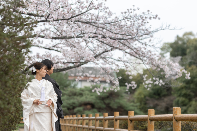 雨の桜と凛としたお二人。