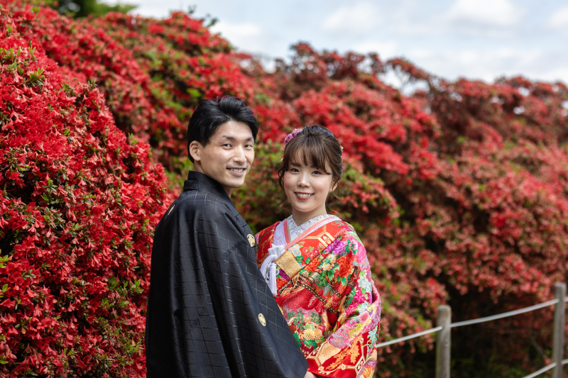 深紅の霧島躑躅を背景に。