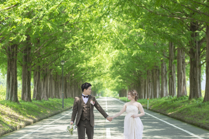 車のない貸し切りのメタセコイア★